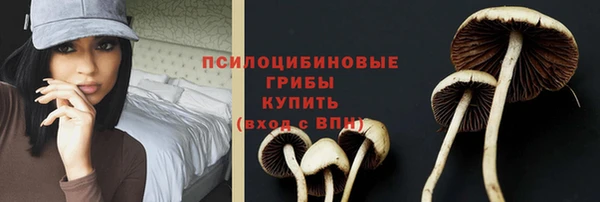 хмурый Балахна
