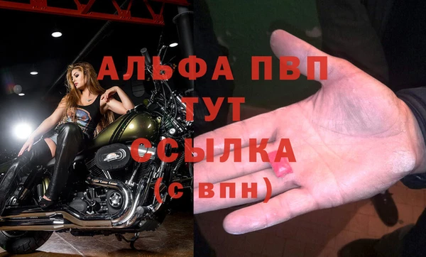 винт Арсеньев