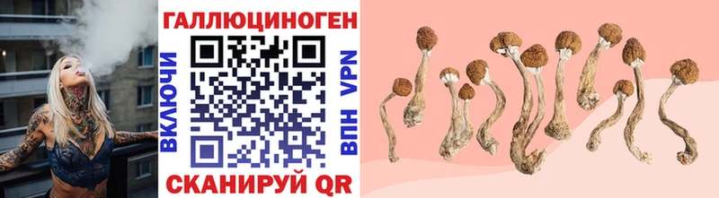 что такое наркотик Бронницы Псилоцибиновые грибы прущие грибы